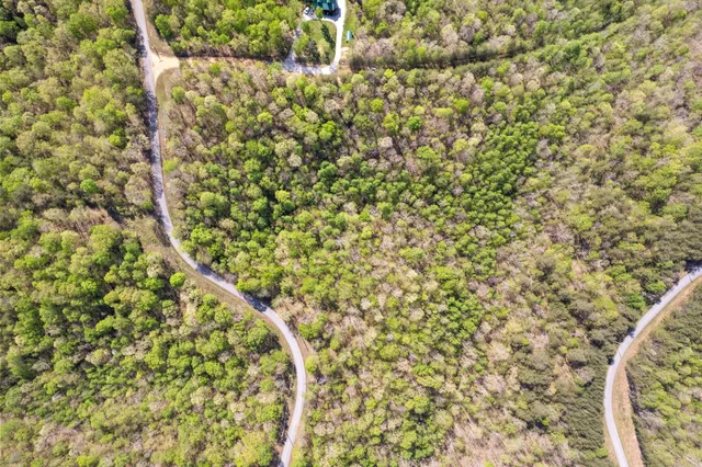 a close up of a plant