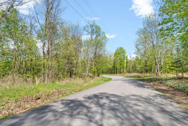 a view of a yard with palm trees