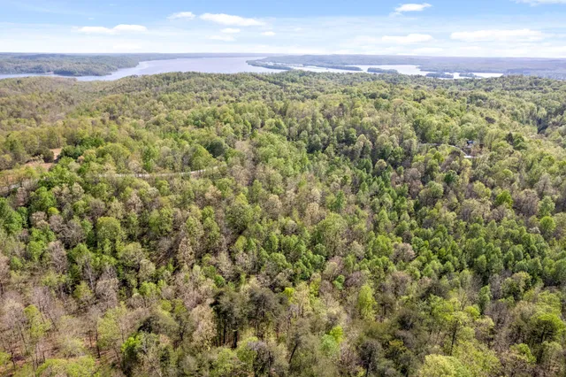 a view of a city with lush green forest