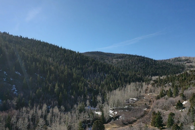 Undisclosed Address Summit, UT 84772 - Photo 7 of 19 Mountain view featuring a forest