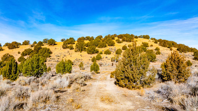 0 County Road 28 Levan, UT 84639 - Photo 74 of 207