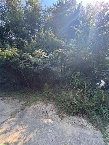 0 St Christopher Drive Slidell, LA 70460 - Photo 3 of 10