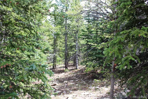 $115,000 | 5285 Lucy Agnes, Black Hawk, CO 80422