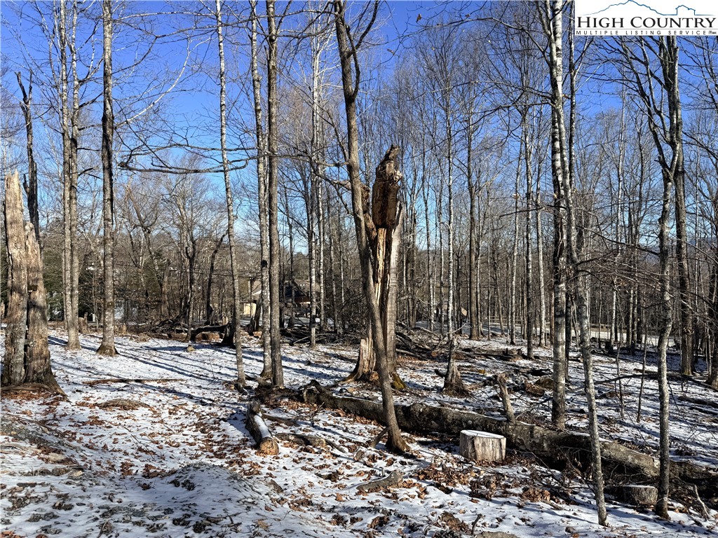102 Northridge Road Beech Mountain, NC 28604 - Photo 4 of 4 a view of outdoor space with sitting area