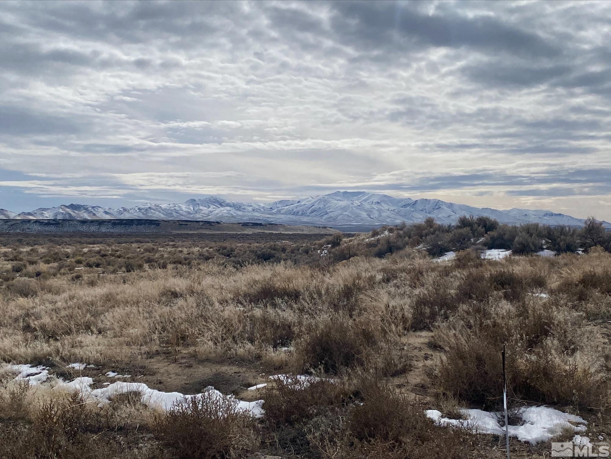 3830 Artemisia Road Winnemucca, NV 89445 - Photo 2 of 10 a view of a dry yard with green space