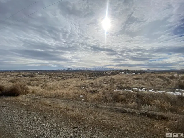 a view of a dry yard