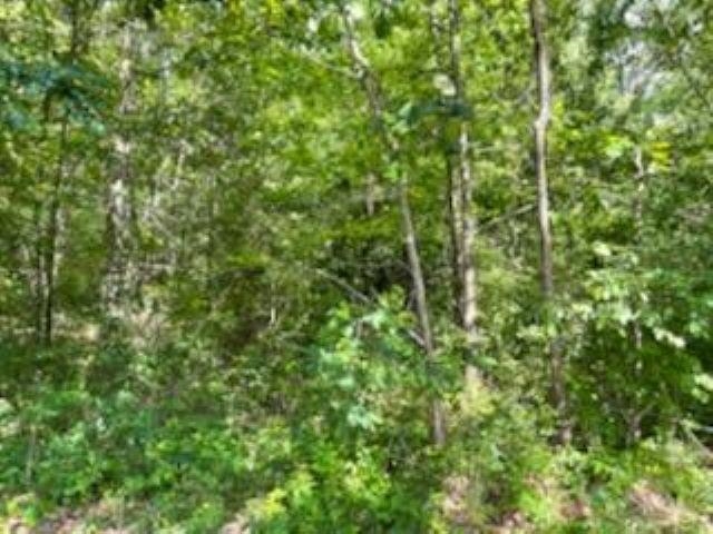 0 Edgewater Drive Waterloo, SC 29384 - Photo 2 of 2