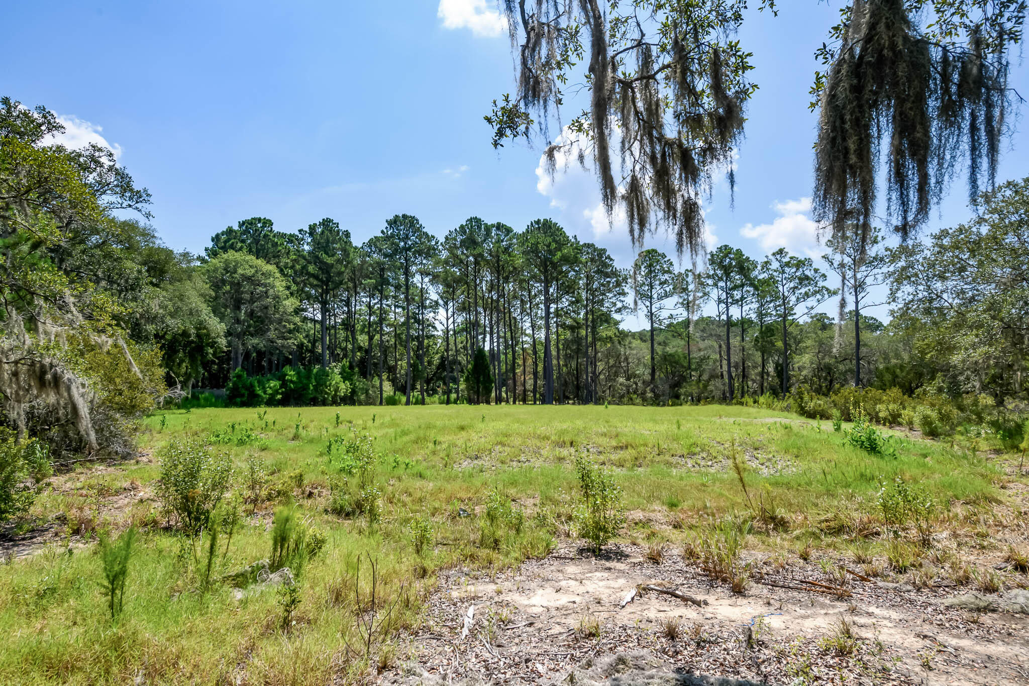 6258 Josie Ridge Road Wadmalaw Island, SC 29487 - Photo 24 of 43 HFL_6258 JOSIE RIDGE-21