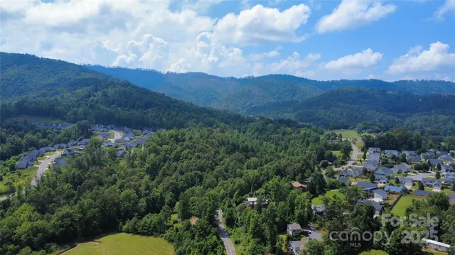 a view of a lot of trees and houses