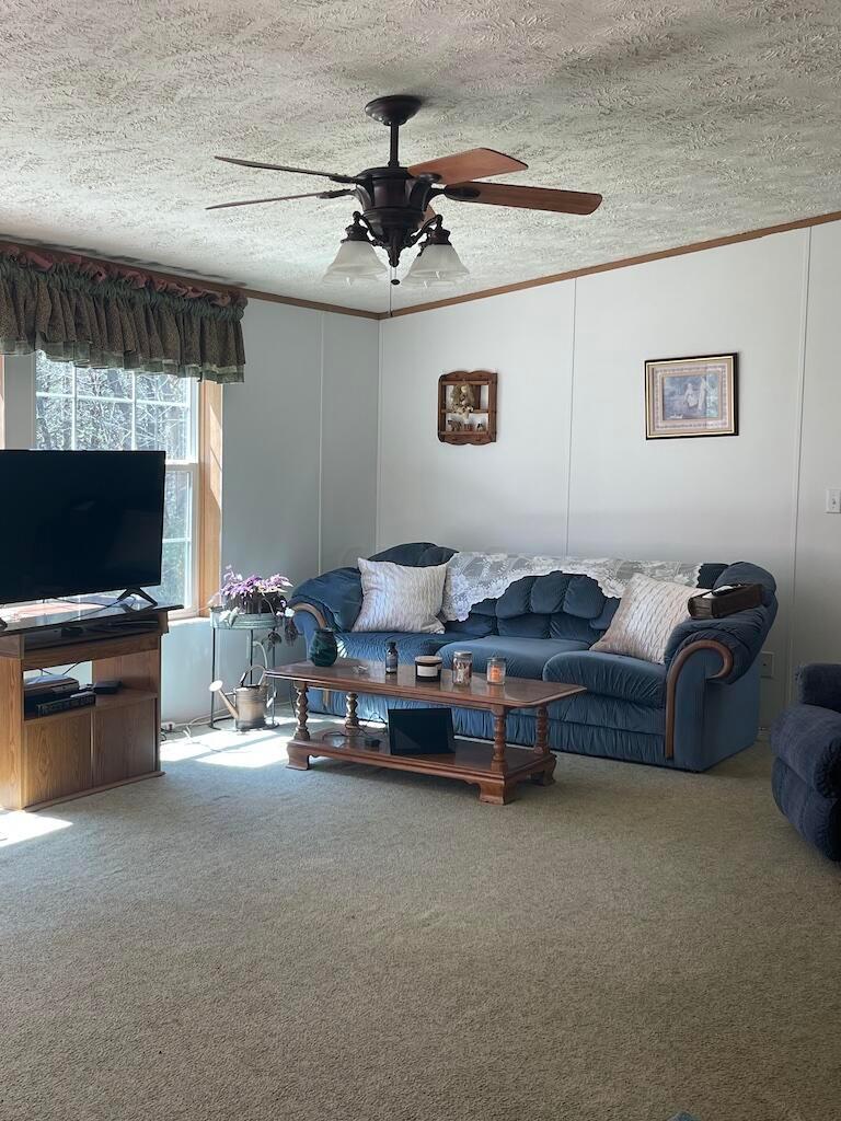 19707 Rauber Road Logan, OH 43138 - Photo 27 of 80 IMG_0846