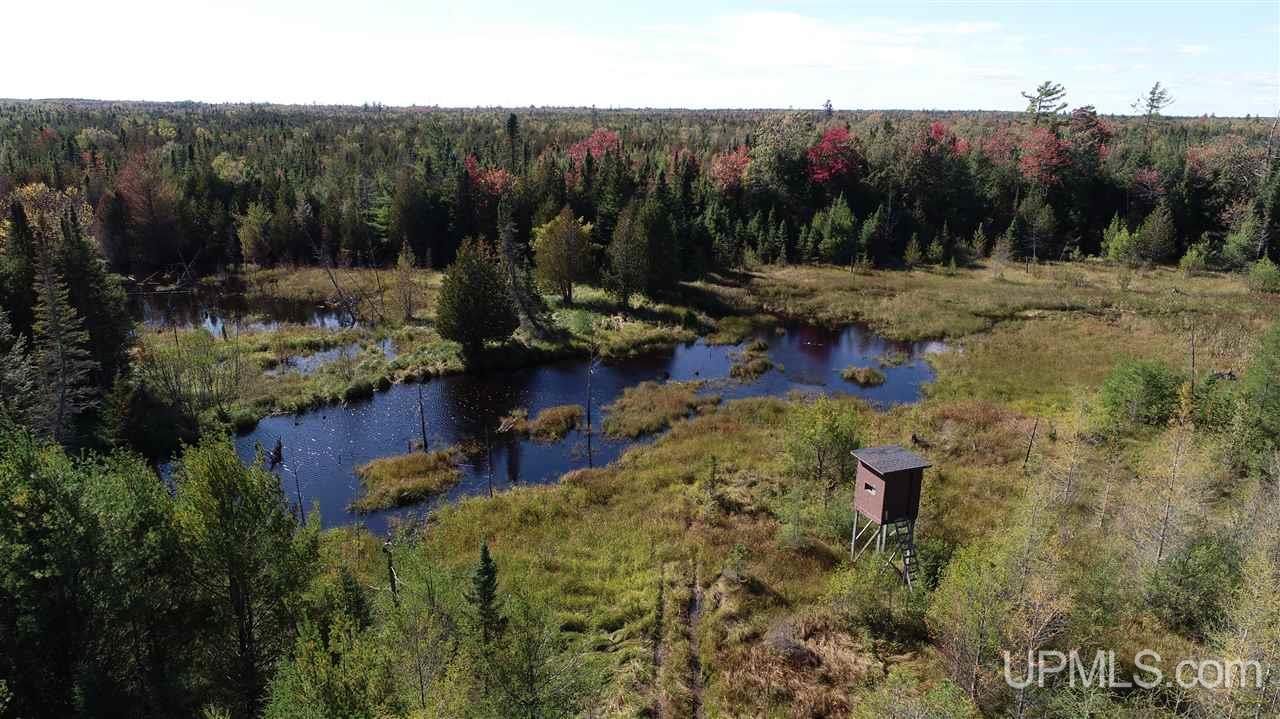 1480 Acres On Co Road Manistique, MI 49854 - Photo 35 of 49