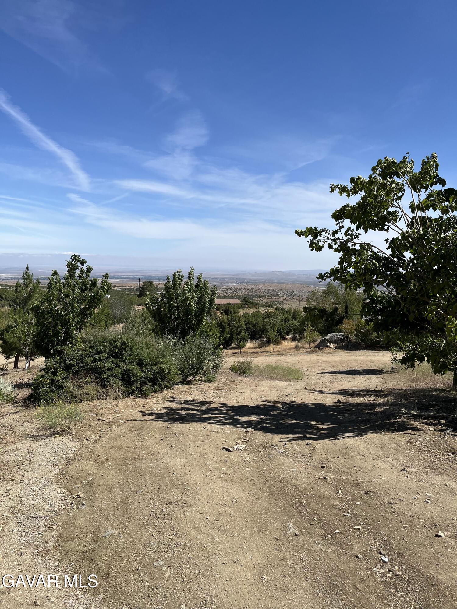 11216 Juniper Mesa Road Littlerock, CA 93543 - Photo 5 of 6 a view of a yard with an trees