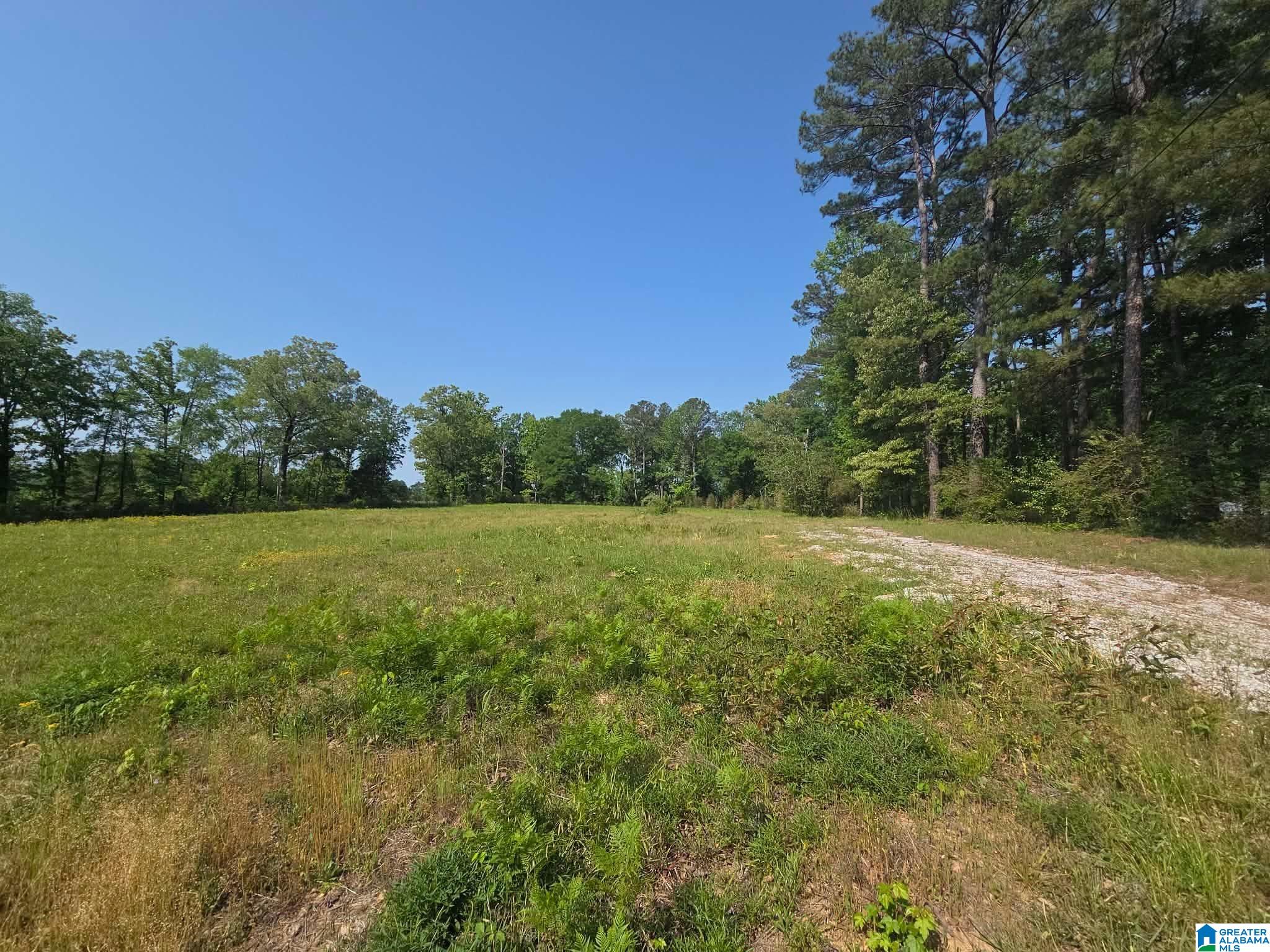 10997 Vance Blocton Road Vance, AL 35490 - Photo 3 of 5