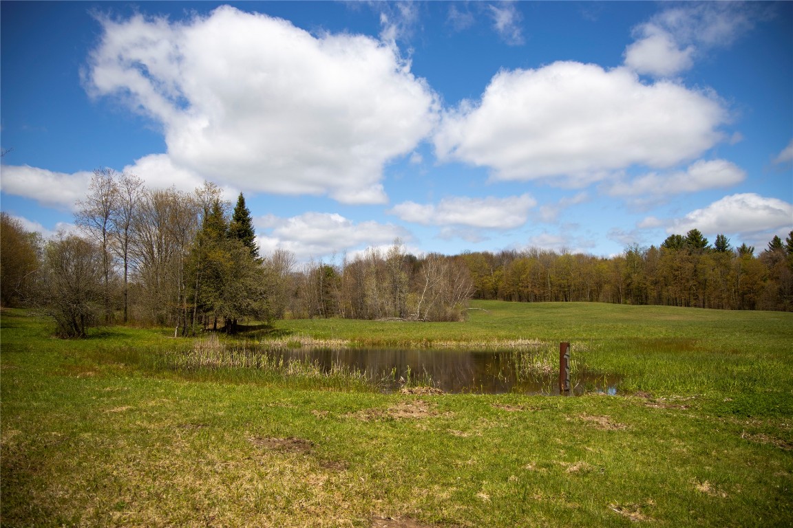 9822 Taberg-Florence Road Taberg, NY 13471 - Photo 13 of 48 Gallery Image 13