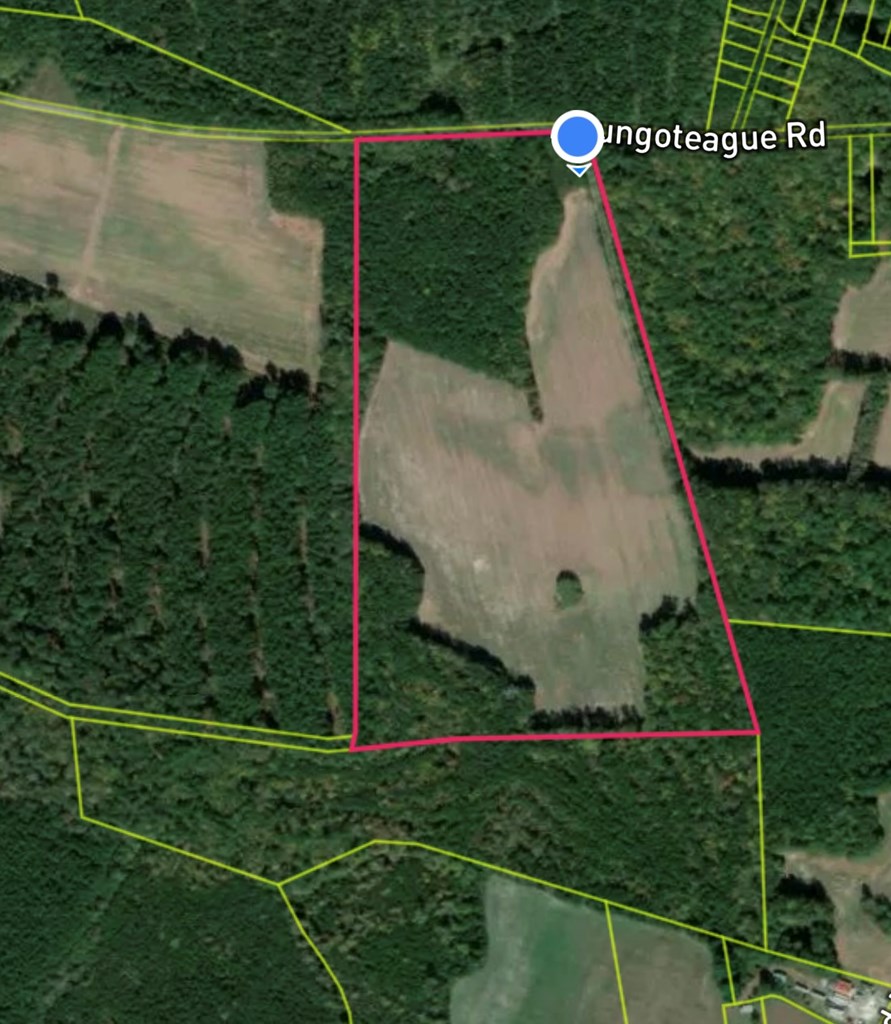 Lot 11 Pungoteague Road, Unit 11 Melfa, VA 23410 - Photo 6 of 7