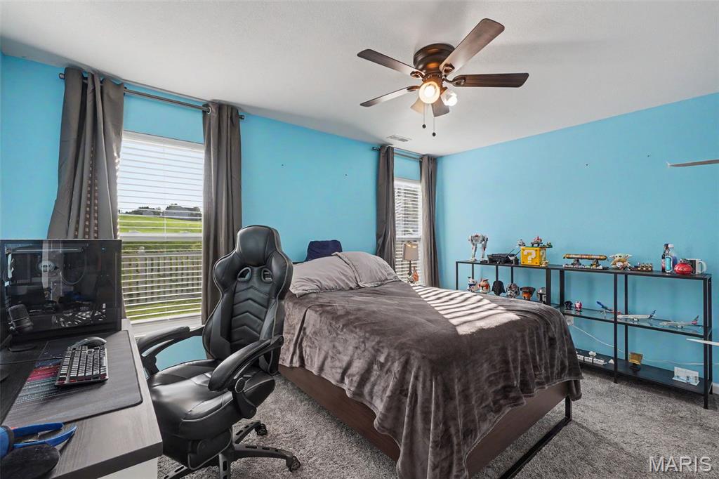 501 Micah's Way Columbia, IL 62236 - Photo 21 of 42