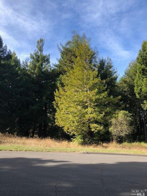 41517 Raven The Sea Ranch, CA 95497 - Photo 1 of 1 Gallery Image 1