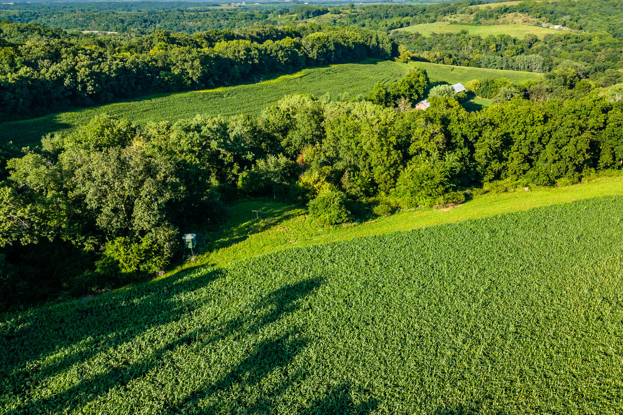 5292 Stenner Hill Road Marion, WI 53805 - Photo 23 of 69 Grant-County-WI-155-Acres-Land-For-Sale-