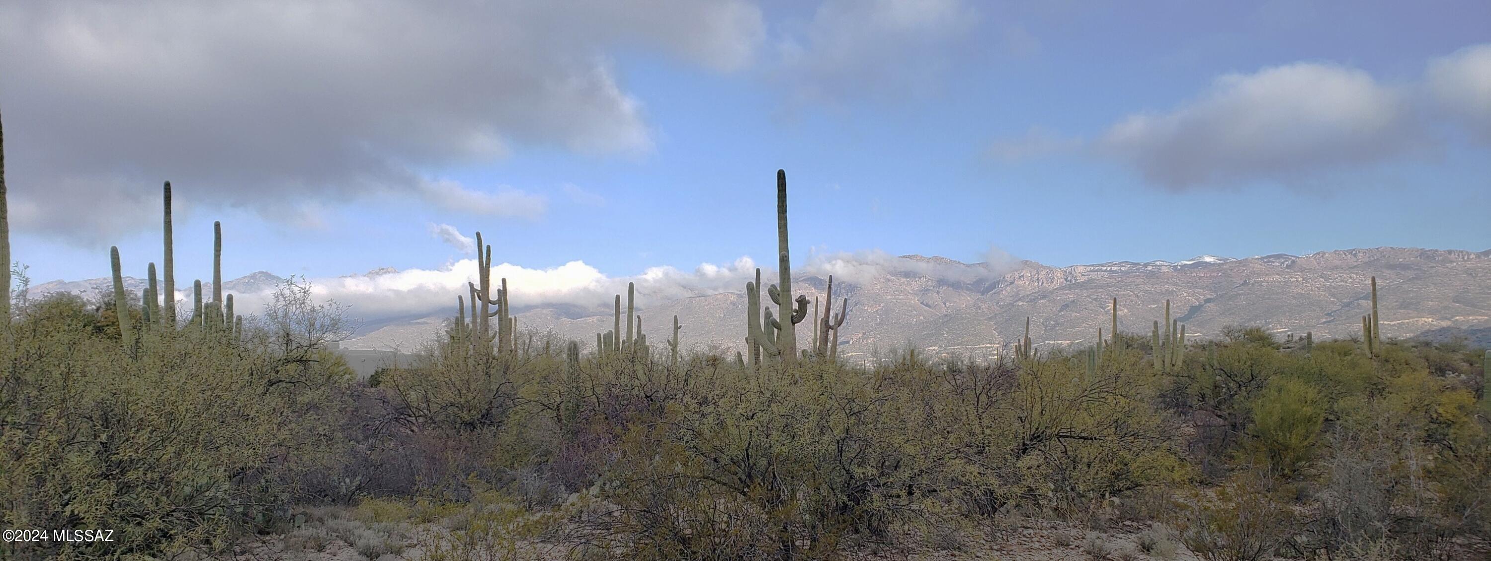 12555 East Fort Lowell Road Tucson, AZ 85749 - Photo 21 of 24 Gallery Image 21