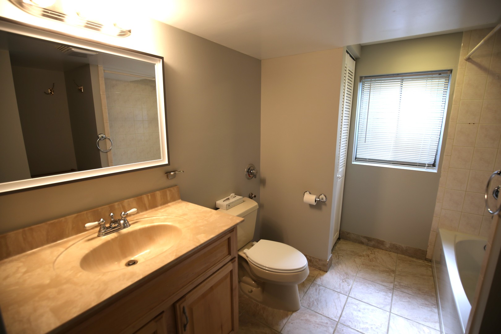 2603 Old Mill Lane Rolling Meadows, IL 60008 - Photo 40 of 45 a bathroom with a sink a toilet and mirror