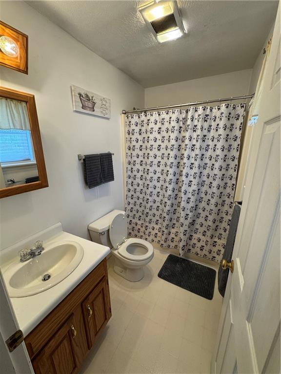 208 Pats Drive Rostraver Township, PA 15012 - Photo 10 of 50 a bathroom with a sink a toilet and a mirror