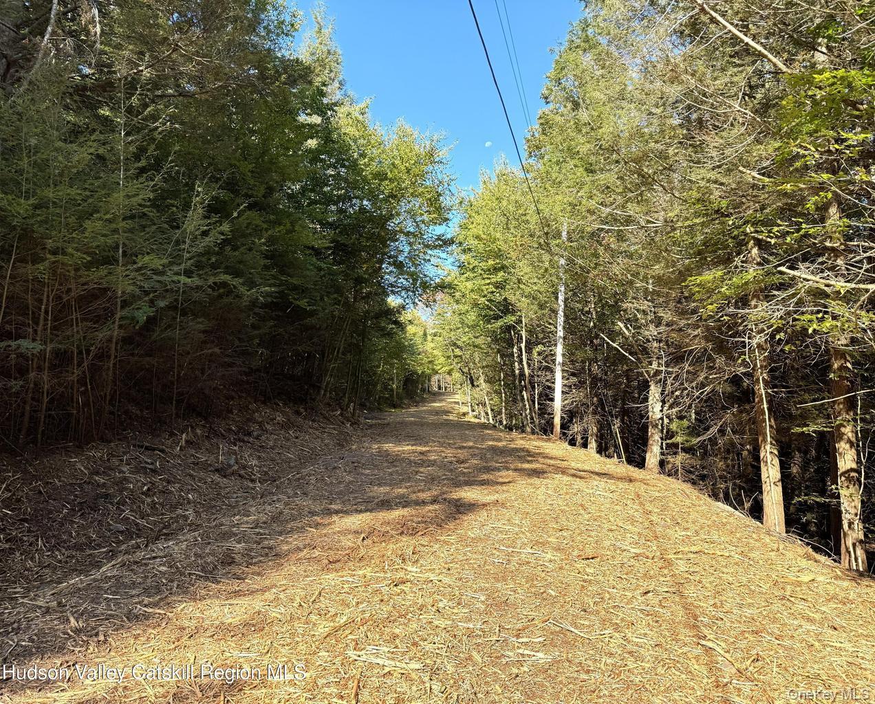 8 Corfu Road Hunter, NY 12427 - Photo 15 of 18 a view of a yard with trees