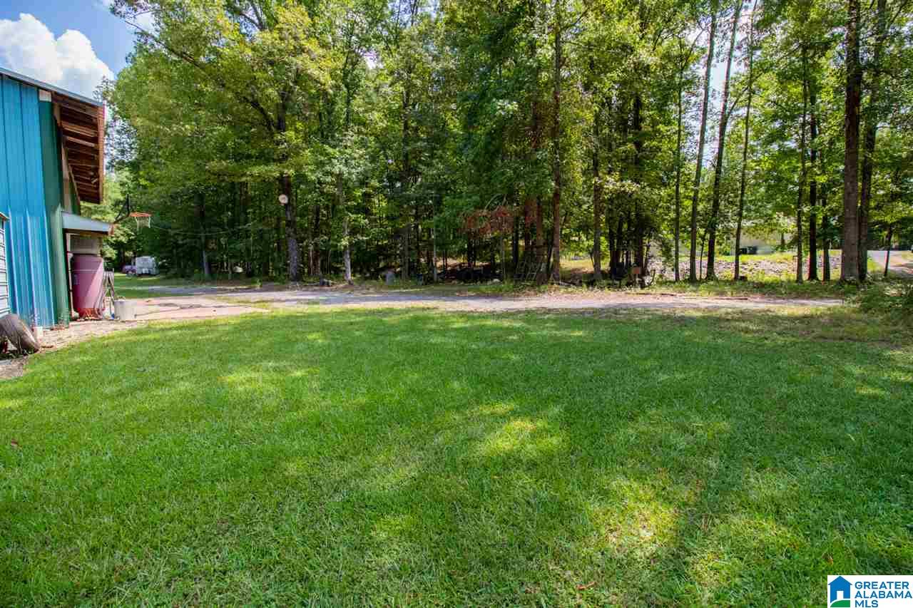 2245 Cedar Creek Road Sylacauga, AL 35151 - Photo 7 of 21