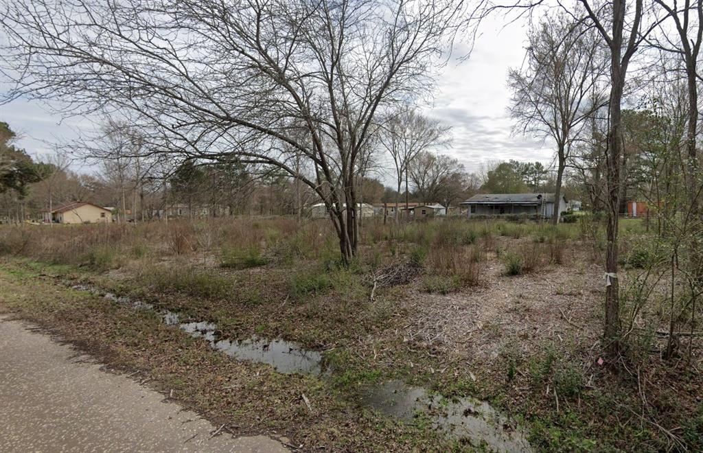 0 Private Road 7362 Road Frankston, TX 75763 - Photo 1 of 4 a view of a forest with large trees