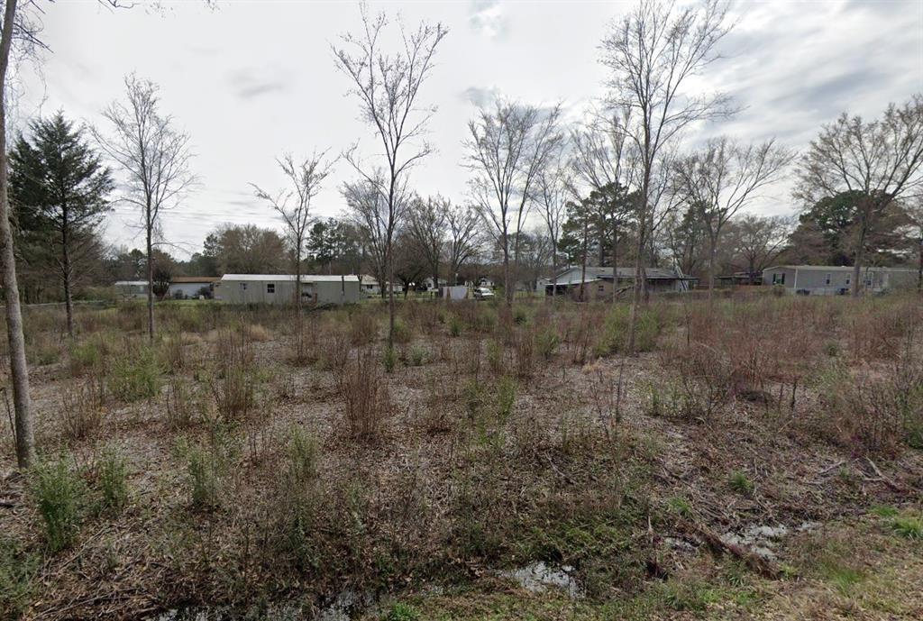 0 Private Road 7362 Road Frankston, TX 75763 - Photo 2 of 4 a view of a lake view with forest