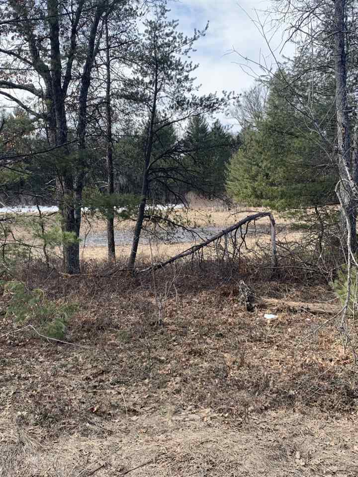 3 Grass Lake Road West Branch, MI 48661 - Photo 4 of 5 1885007-3.JPG