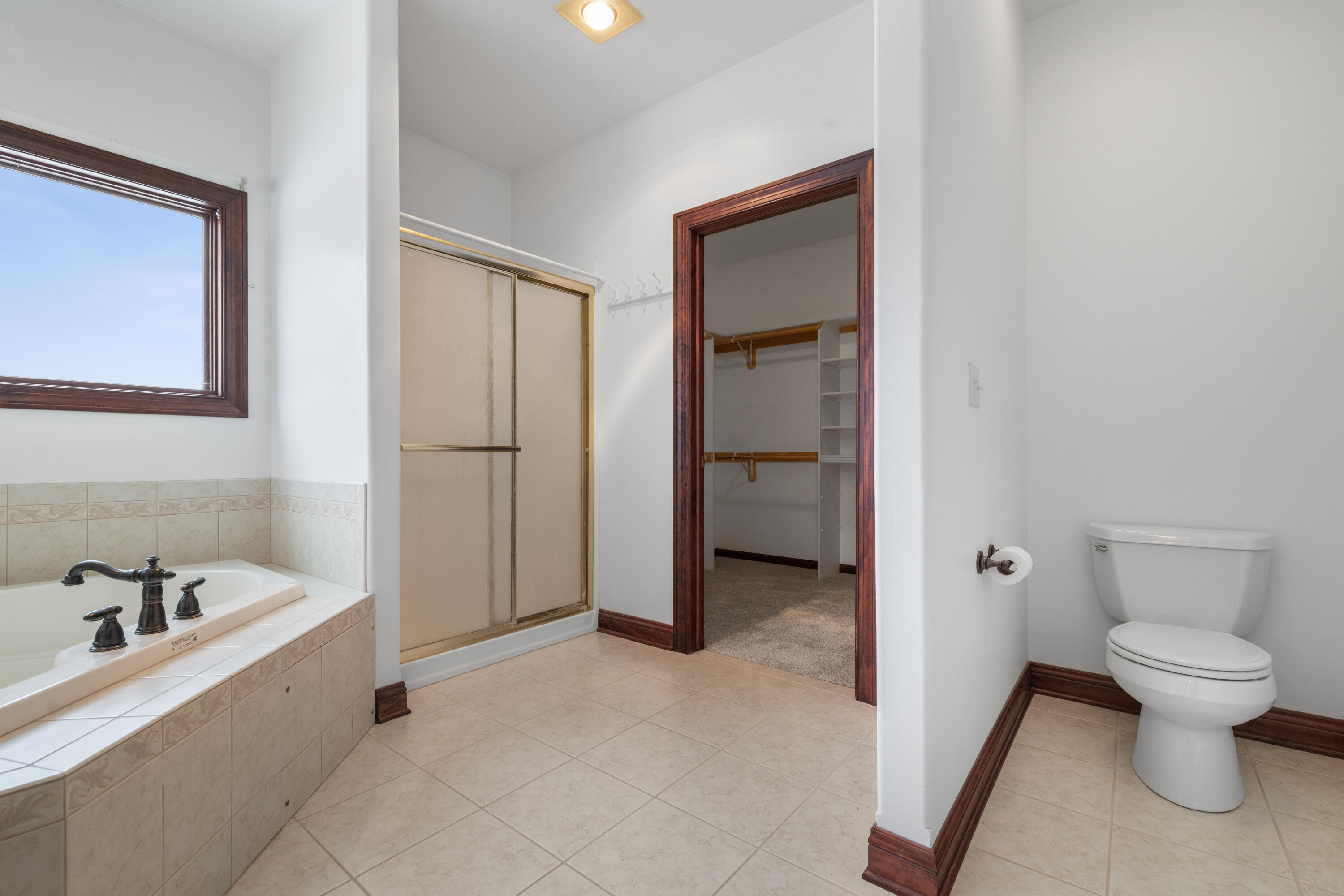 145 Victoria Circle Union Grove, WI 53182 - Photo 32 of 83 Step In Shower, too!