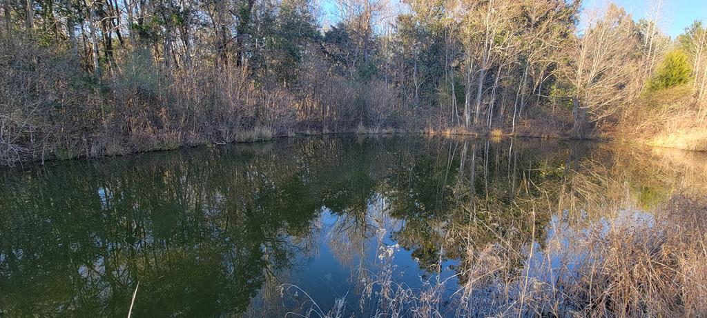 50.45-acres Trawick Road Dothan, AL 36301 - Photo 18 of 62