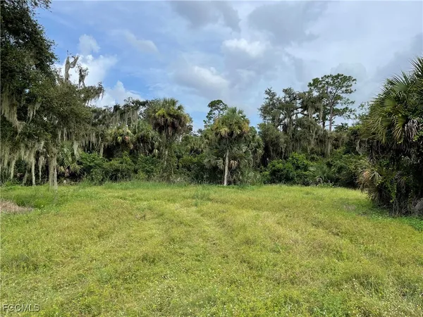 a view of field with trees in the background