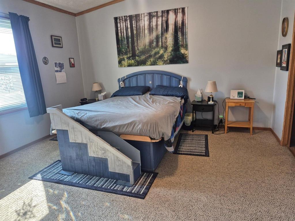 438 Silver River Road Gholson, TX 76705 - Photo 31 of 39 a living room with furniture and a window
