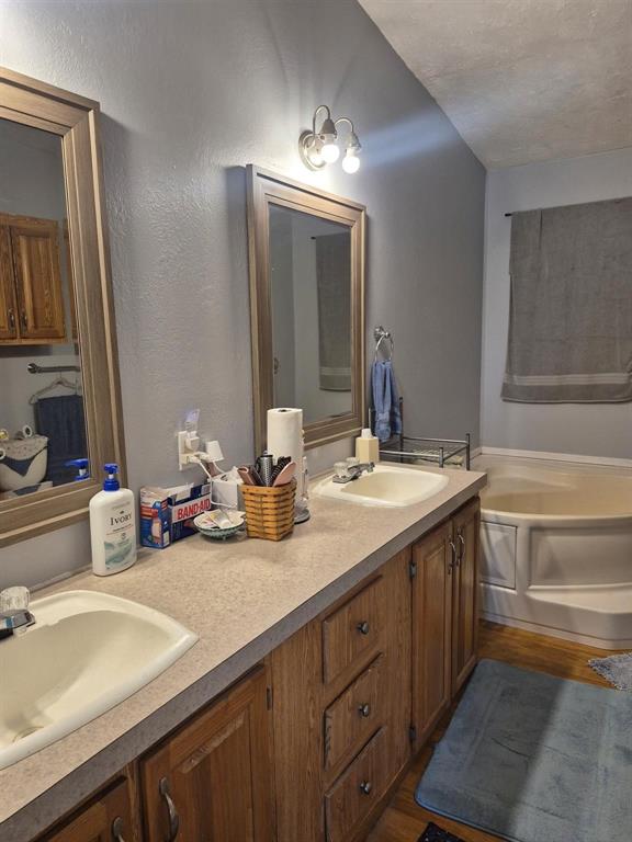 438 Silver River Road Gholson, TX 76705 - Photo 34 of 39 a bathroom with a double vanity sink and a mirror