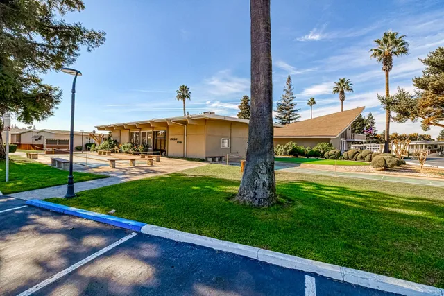 a view of a park with big tree