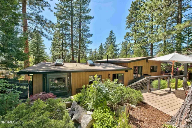 a view of a lush green forest with lawn chairs