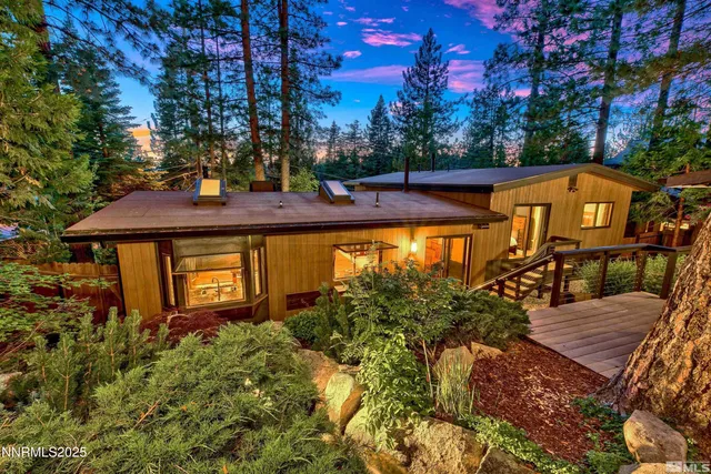 a view of a garden with plants