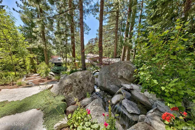 a backyard of a house with a large tree