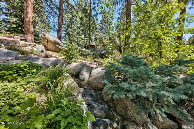 a view of a yard with plants and trees