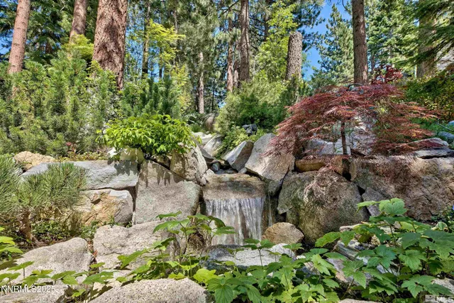 a view of a yard with plants
