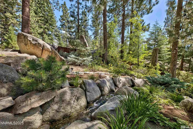 a picture of flowers