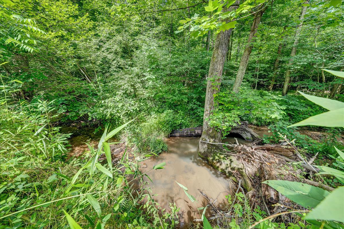 2675 Doe Run Road Rocky Mount, VA 24151 - Photo 20 of 21 Creek