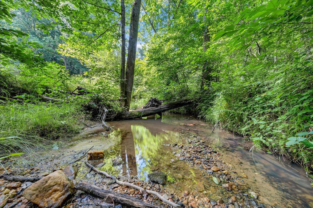 2675 Doe Run Road Rocky Mount, VA 24151 - Photo 21 of 21 Creek