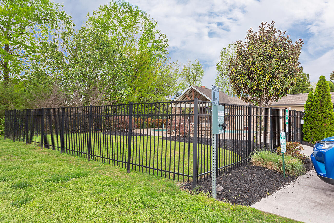 5366 Reneau Way Chattanooga, TN 37412 - Photo 29 of 29 IMG_9858