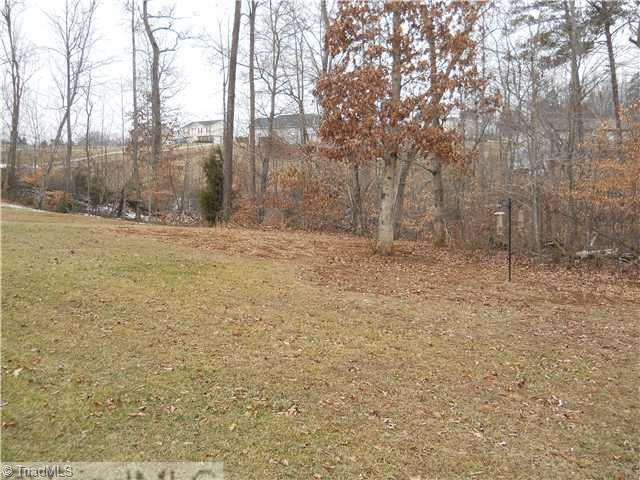 1065 Laurel Crest Road King, NC 27021 - Photo 16 of 16 Land/Lot. Great back yard!