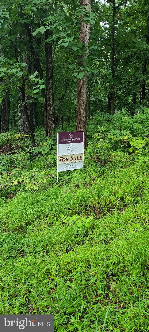 Inca Road Linden, VA 22642 - Photo 4 of 6