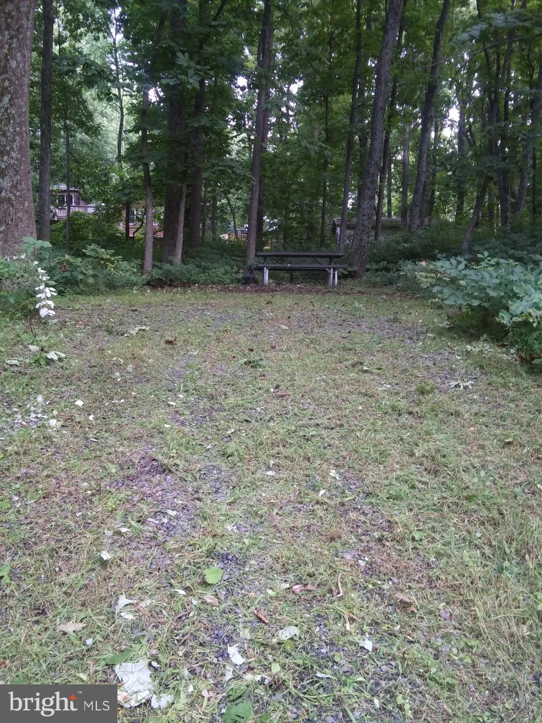 Inca Road Linden, VA 22642 - Photo 5 of 6