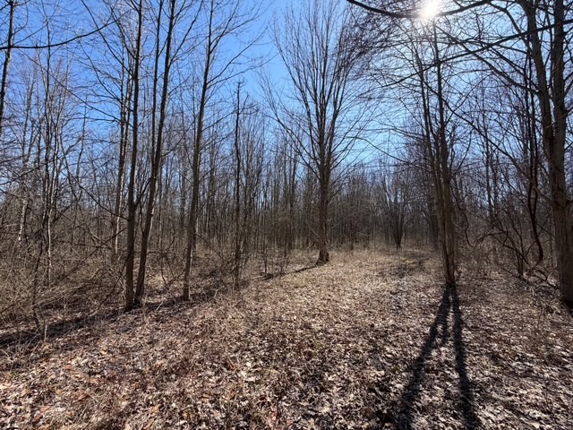 West Somerset Road South Appleton, NY 14008 - Photo 1 of 1