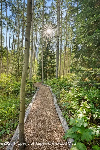 $13,750,000 | 9555 Castle Creek Road, Aspen, CO 81612